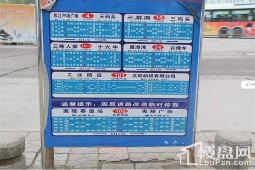 平湖港湾位置图